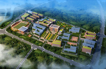 长沙职教基地后勤区项目代建工程监理工程代建项目管理project